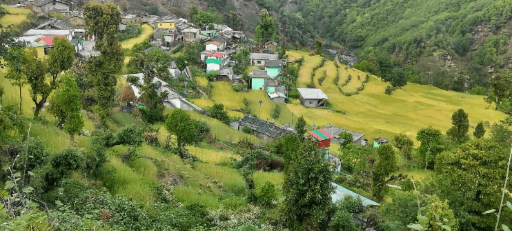 पर्वतीय अंचल की मिसाल: पारंपरिक जैविक खेती से आत्मनिर्भर बने कपकोट के ग्रामीण