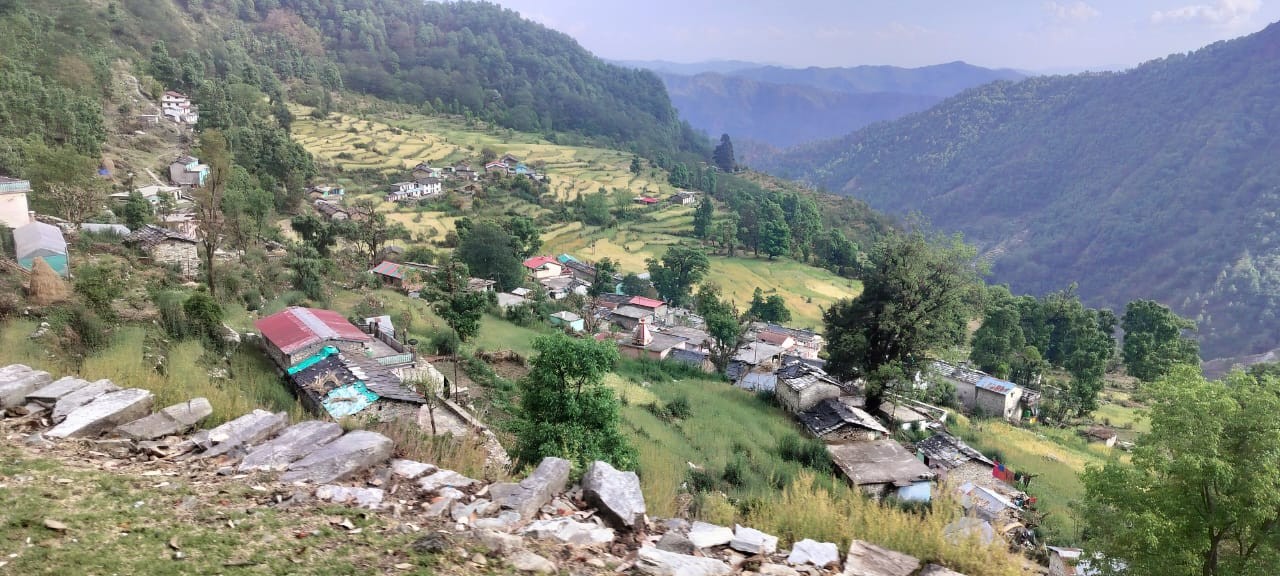 पॉलीहाउस उत्पादन बन रहे आजीविका संवर्धन के साधन